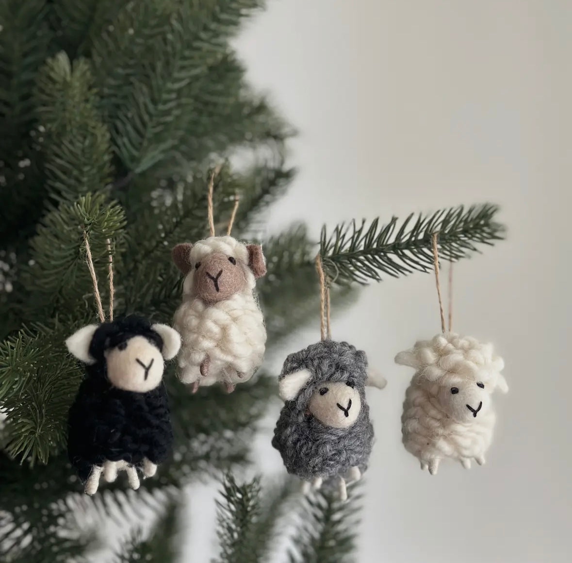 Sheep ornament
