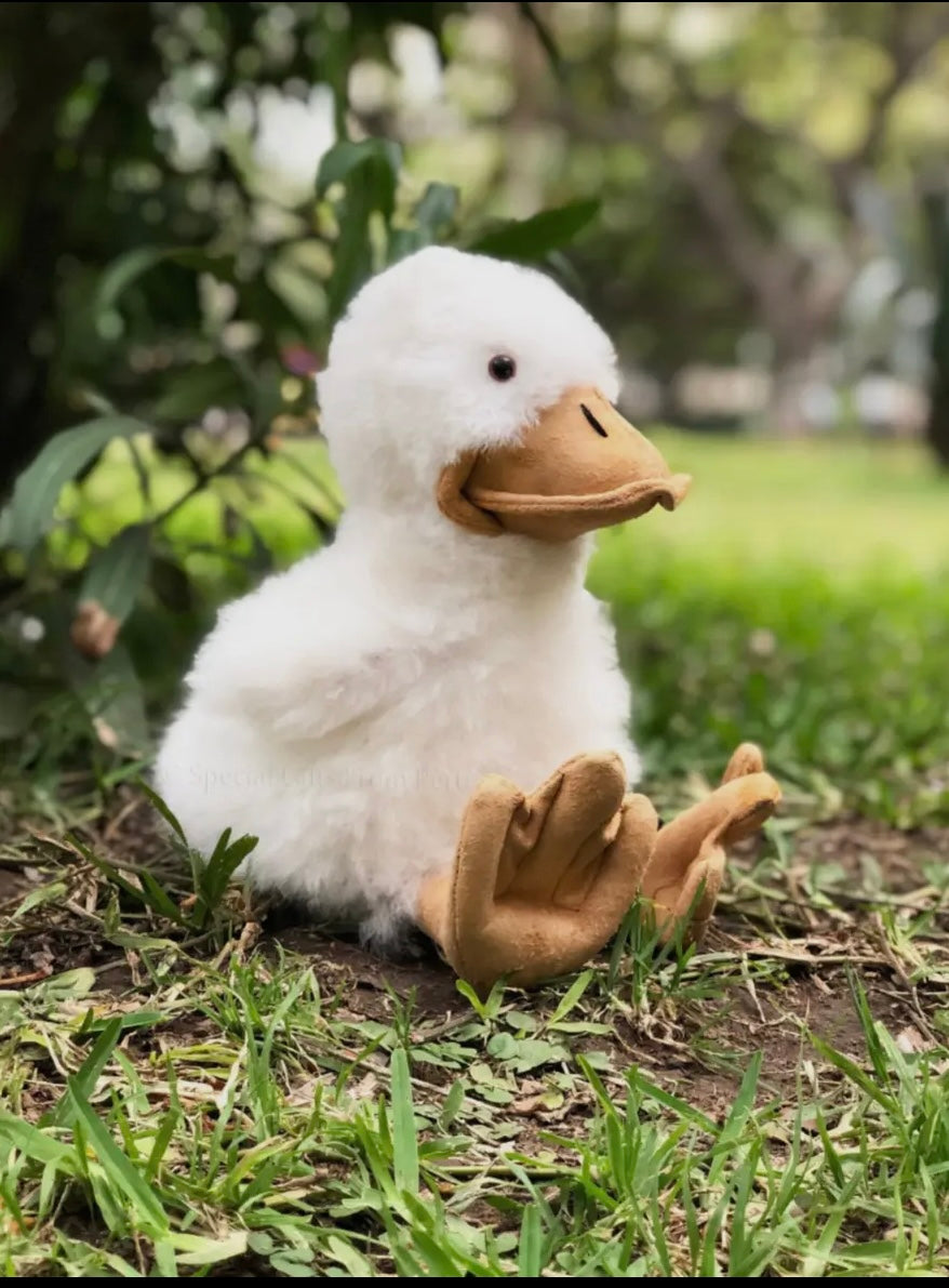 Duck Alpaca Stuffy