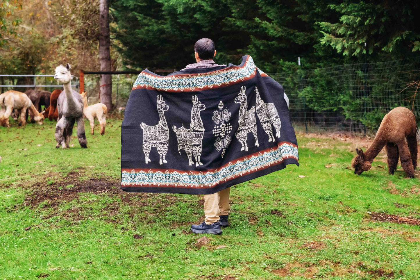 Alpaca - Black - Alpaca Wool Blanket - Enchanted Farms