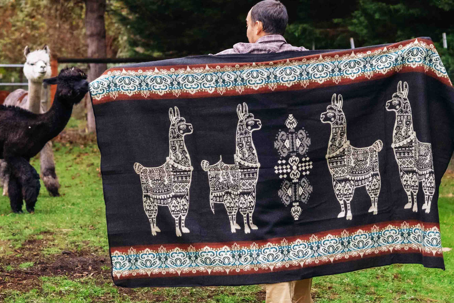 Alpaca - Black - Alpaca Wool Blanket - Enchanted Farms