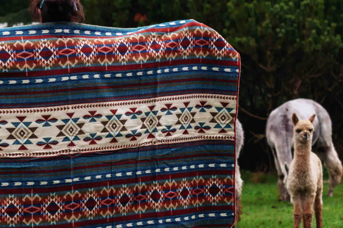 Arequipa - Landscape - Alpaca Wool Blanket - Enchanted Farms