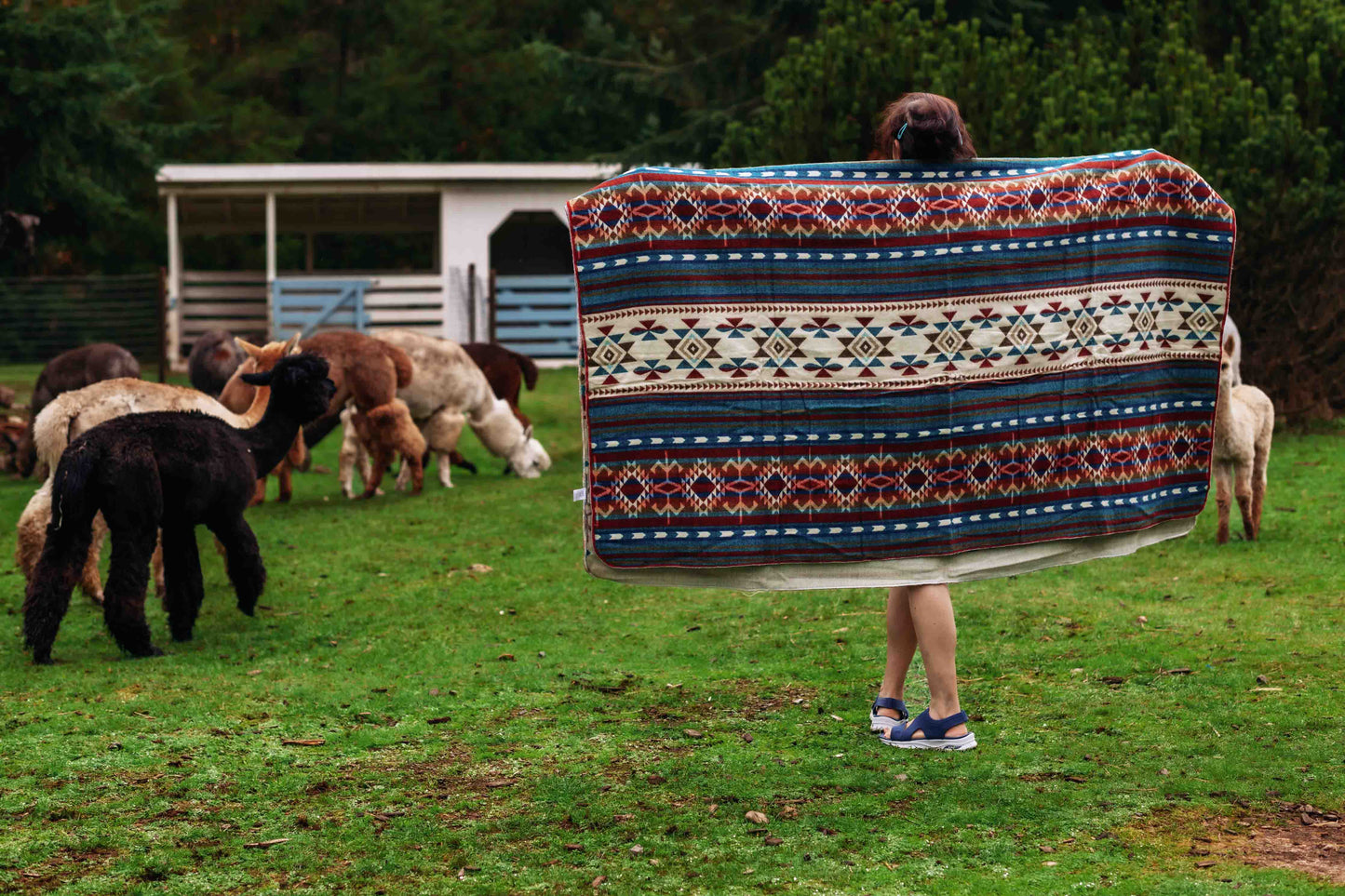 Arequipa - Landscape - Alpaca Wool Blanket - Enchanted Farms