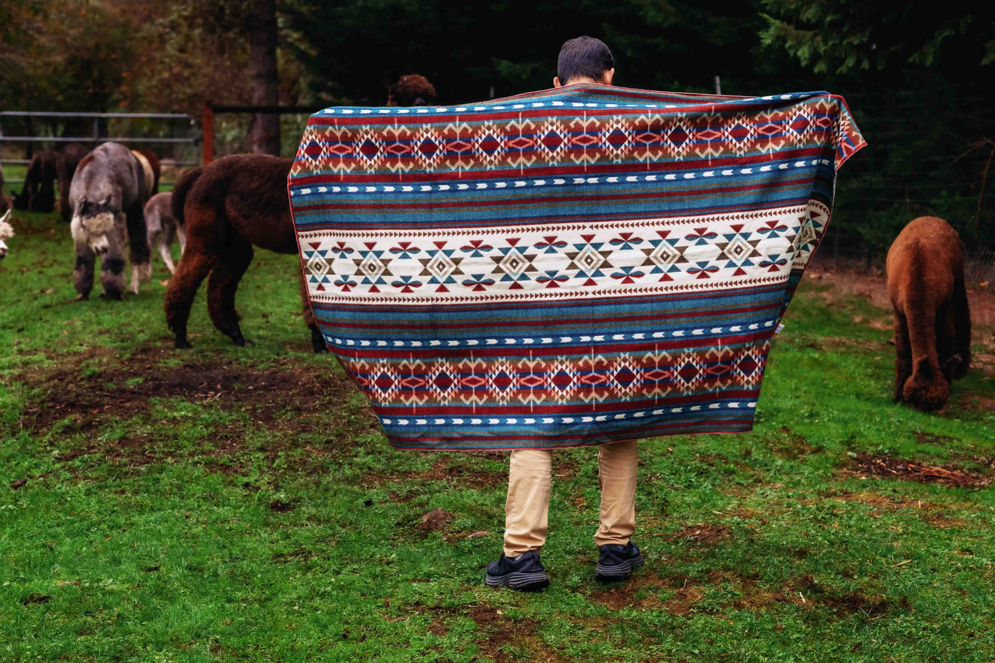 Arequipa - Landscape - Alpaca Wool Blanket - Enchanted Farms