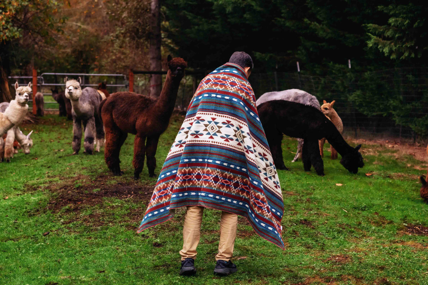 Arequipa - Landscape - Alpaca Wool Blanket - Enchanted Farms