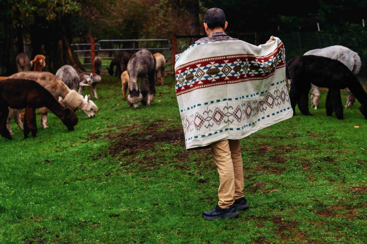 Arequipa - Landscape - Alpaca Wool Blanket - Enchanted Farms