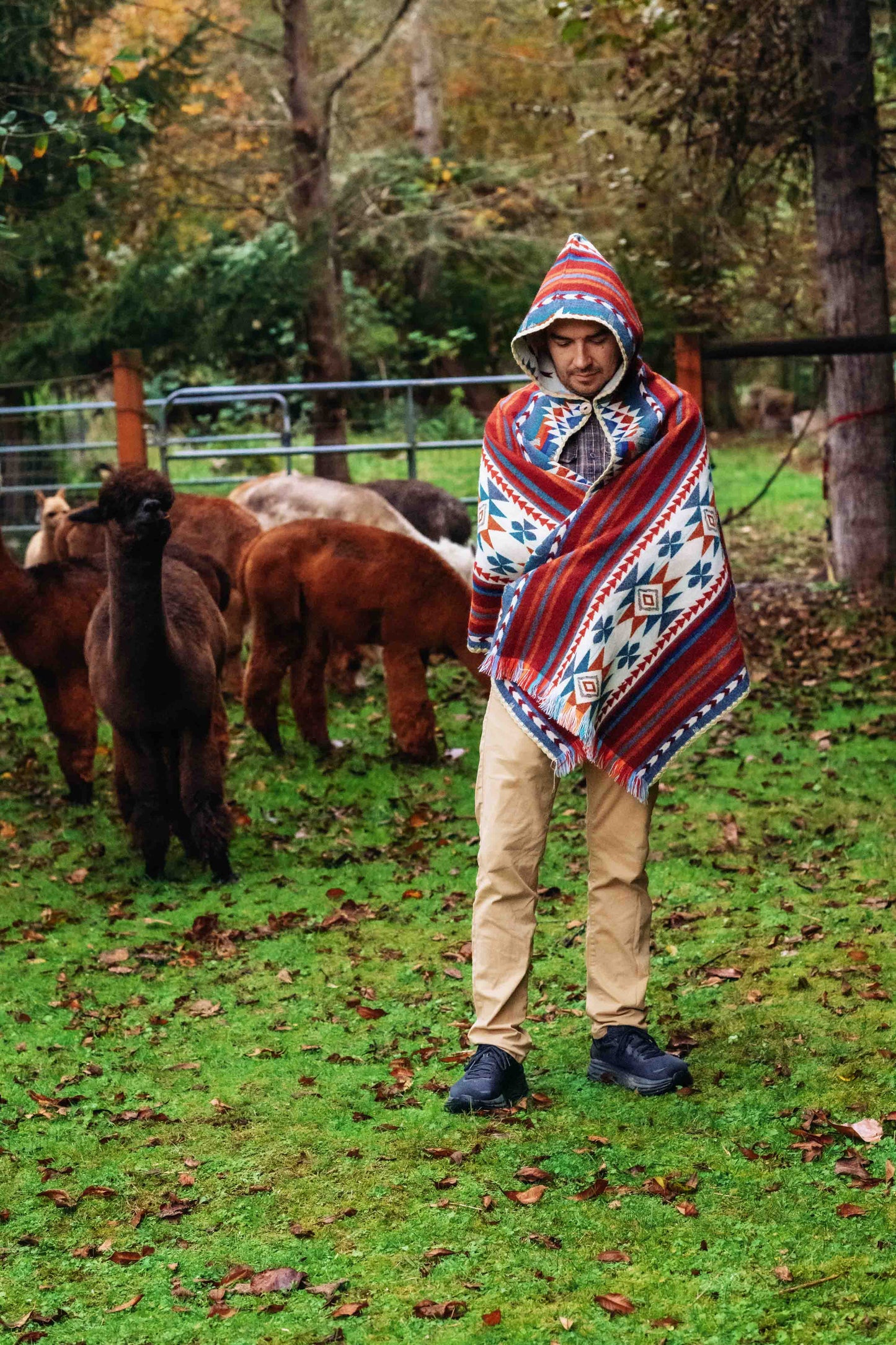 Arequipa - Landscape - Hooded Shawl - Alpaca Shawl Poncho