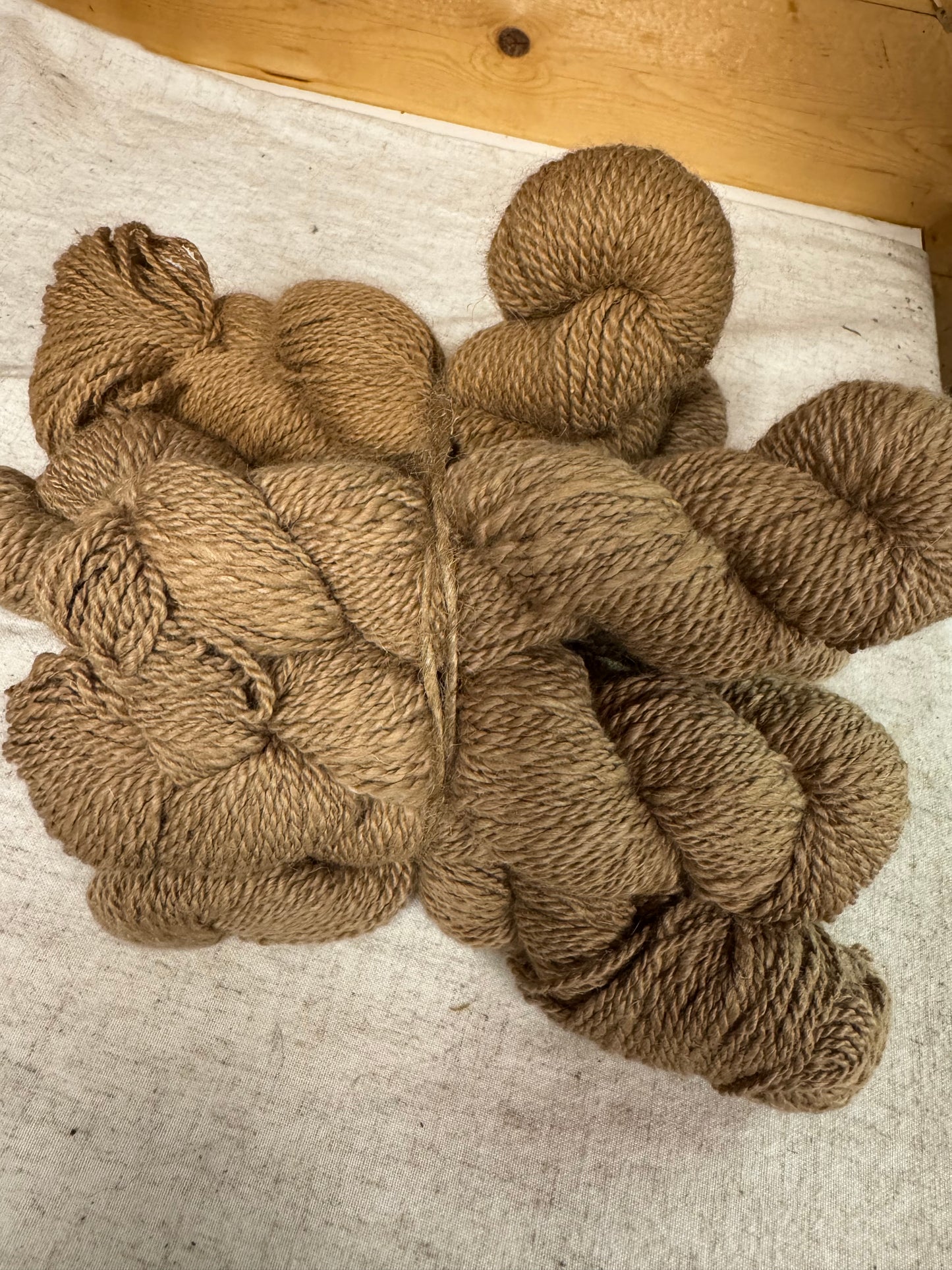 Yarn skein Worsted (Charleston) 100% Alpaca Fawn 2-ply worsted wt 90 yds