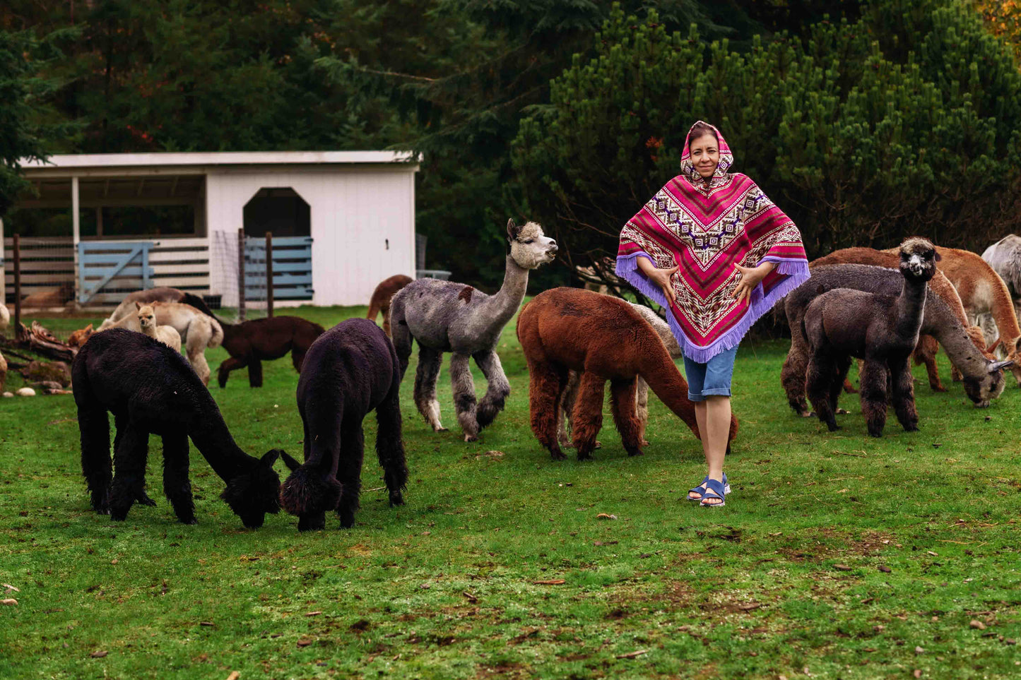 Chan Chan - Chicha - Alpaca Poncho with Native Pattern Triangular Design