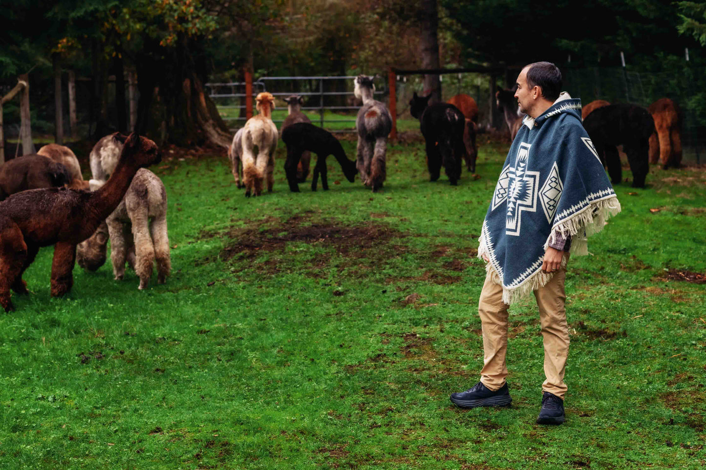 Conquistador - Blue - Alpaca Poncho with Native Pattern Triangular Design