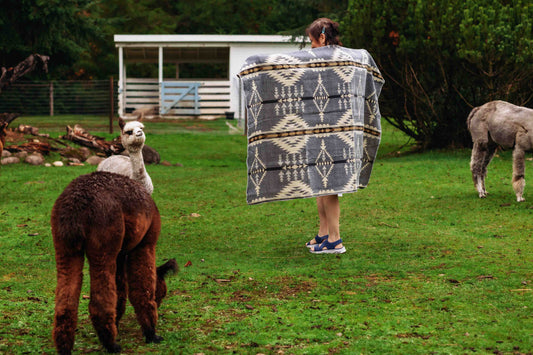 Del Mar - Stone - Alpaca Wool Blanket - Enchanted Farms