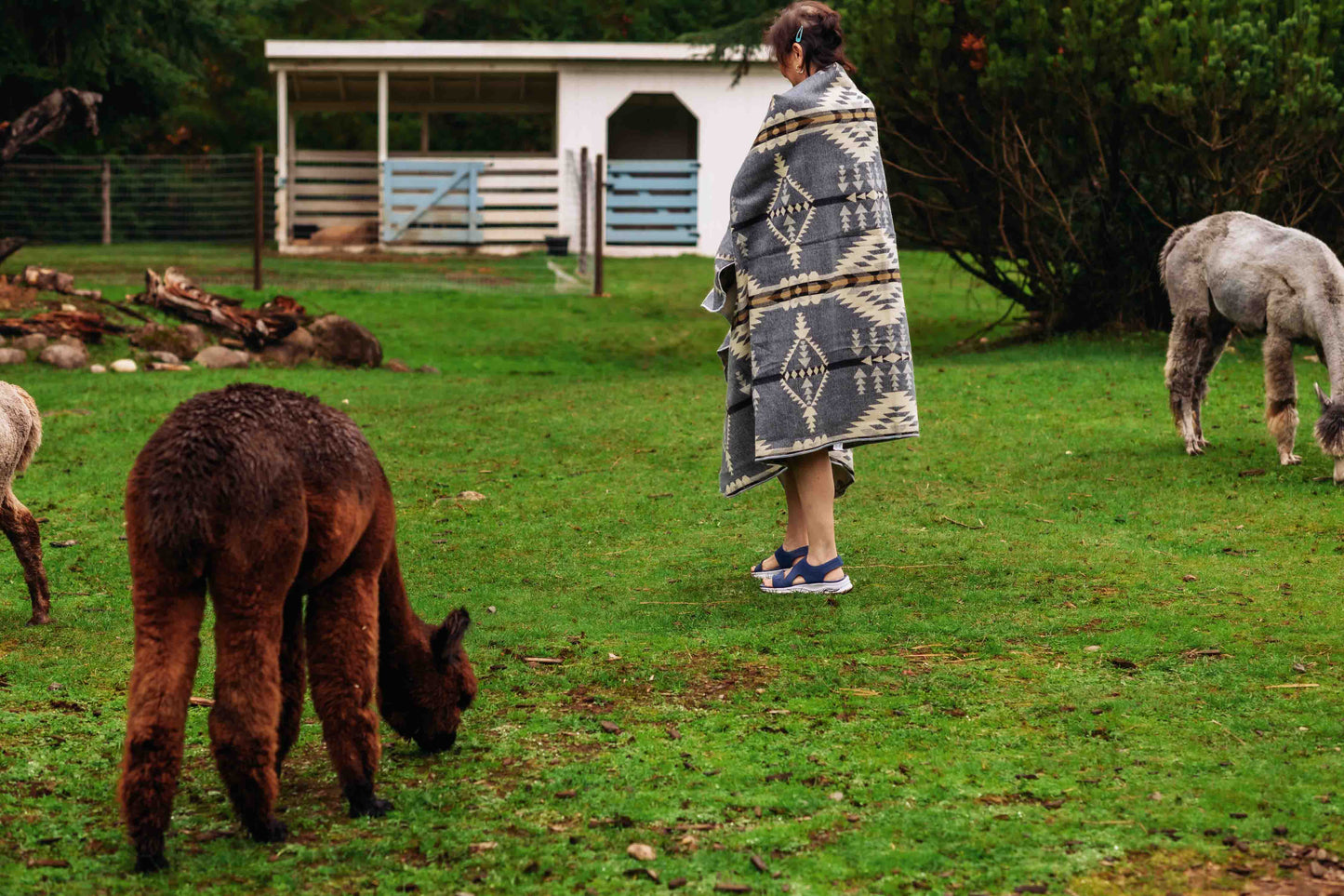 Del Mar - Stone - Alpaca Wool Blanket - Enchanted Farms