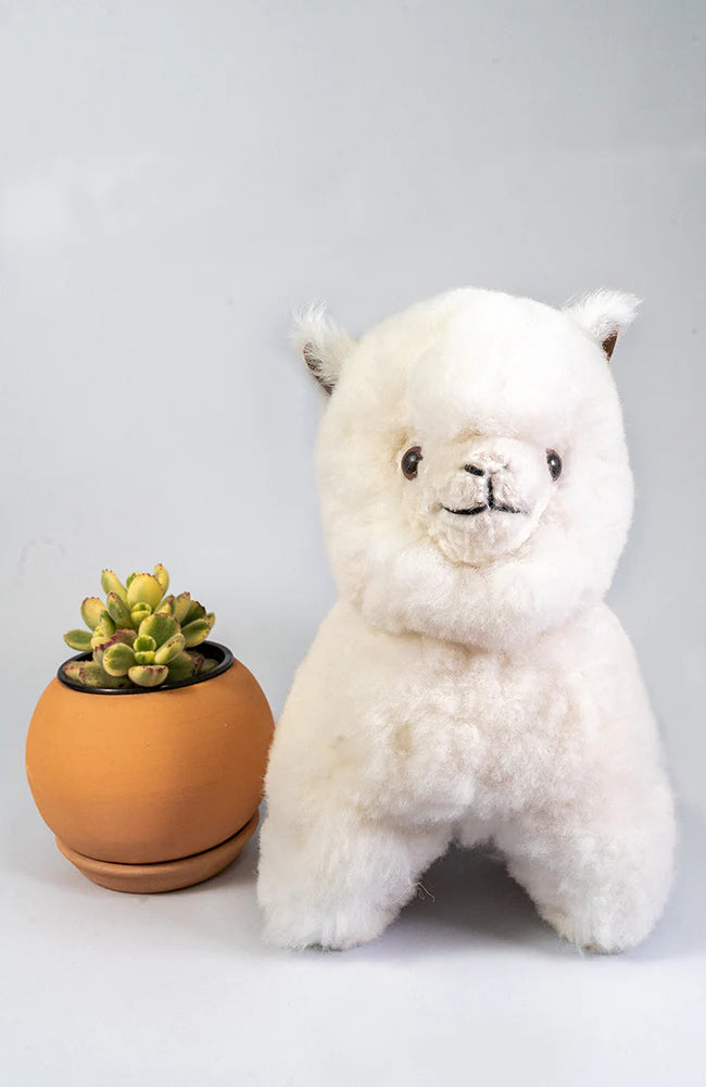 Alpaca Cartoon Stuffy