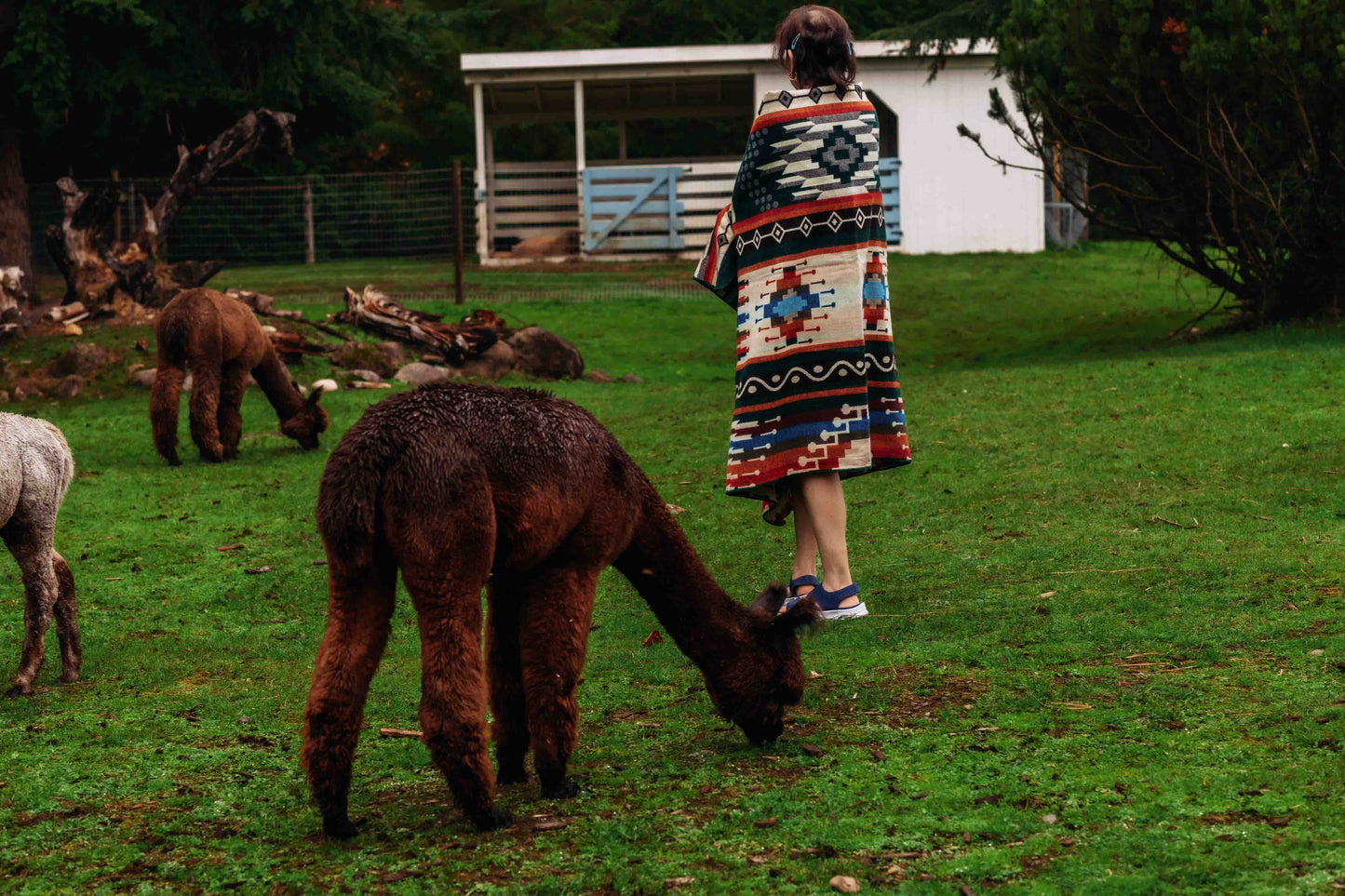 Inca - Jungle - Alpaca Wool Blanket - Enchanted Farms