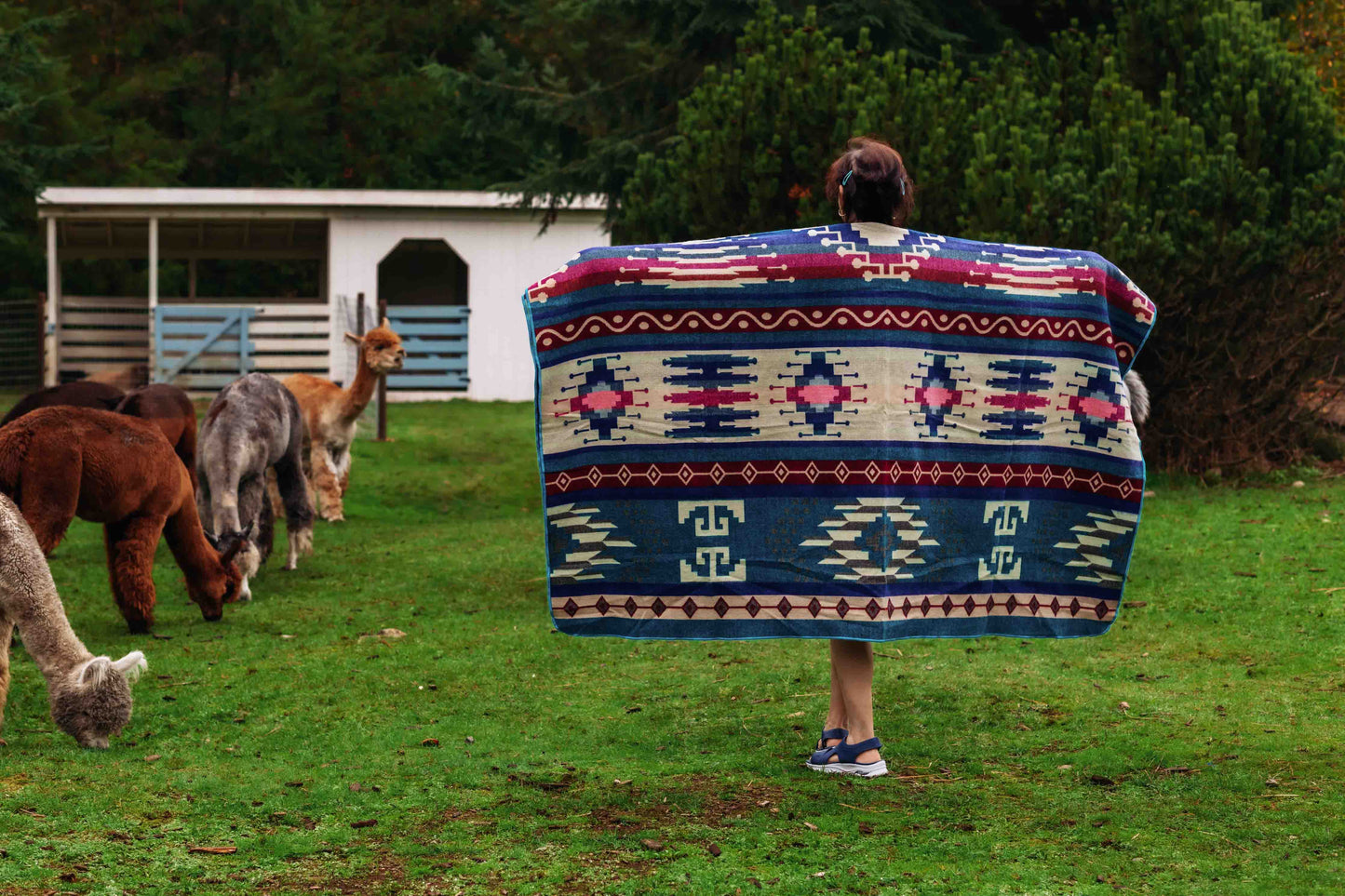 Inca - Turk - Alpaca Wool Blanket - Enchanted Farms