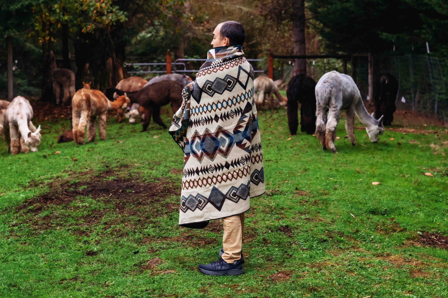 Iquitos - Pebble Creek - Alpaca Wool Blanket - Enchanted Farms