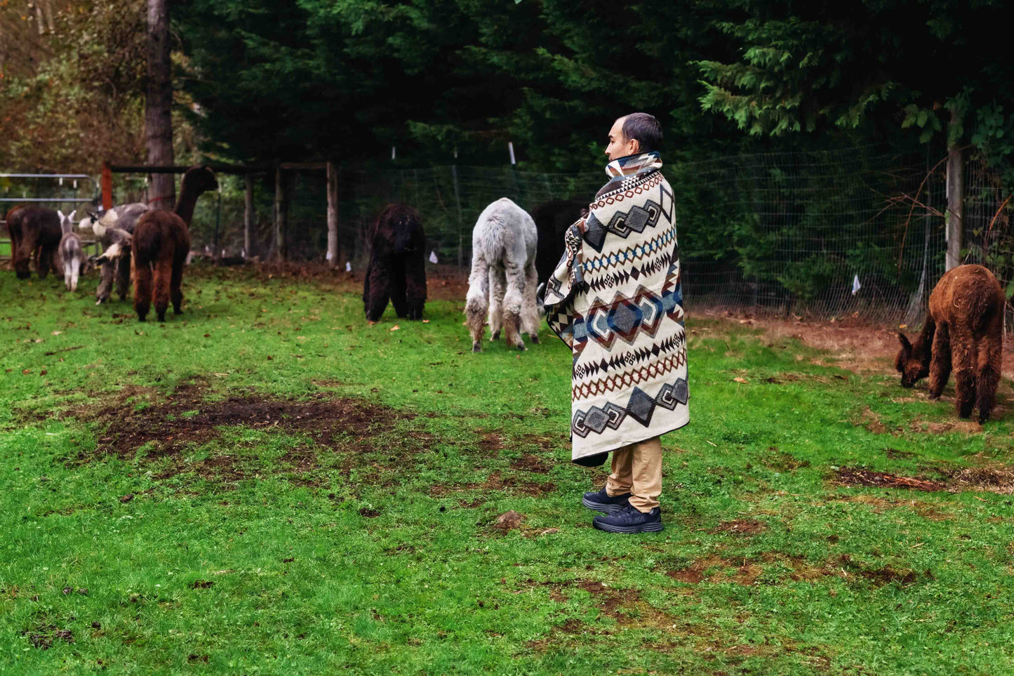 Iquitos - Pebble Creek - Alpaca Wool Blanket - Enchanted Farms