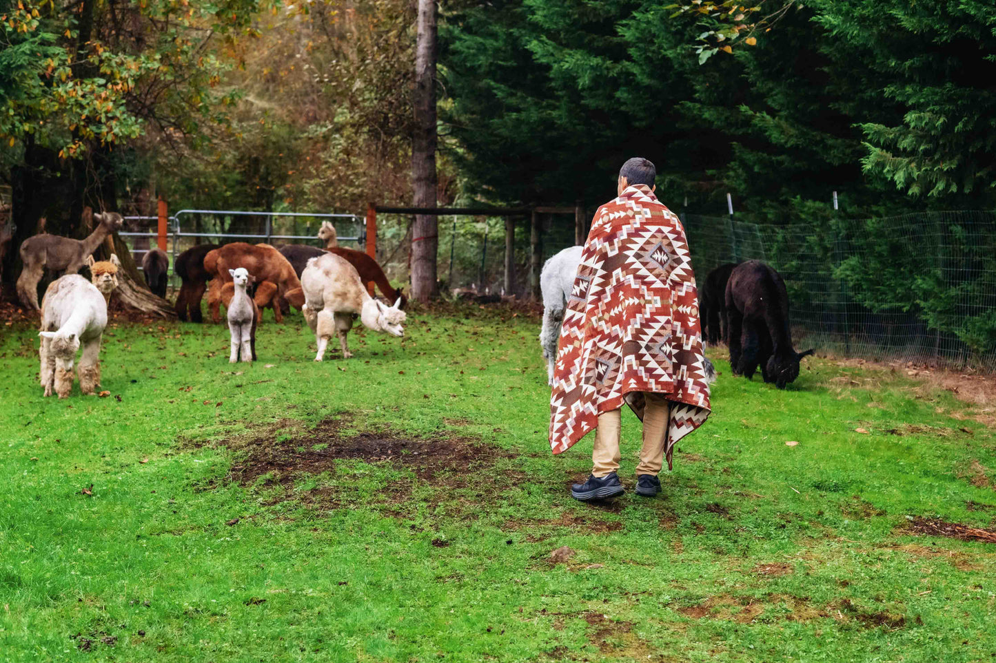 Nazca - Amber - Alpaca Wool Blanket - Enchanted Farms