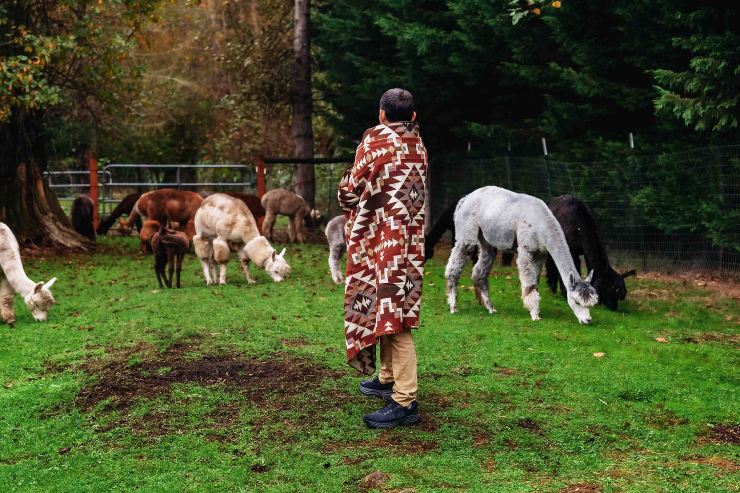 Nazca - Amber - Alpaca Wool Blanket - Enchanted Farms