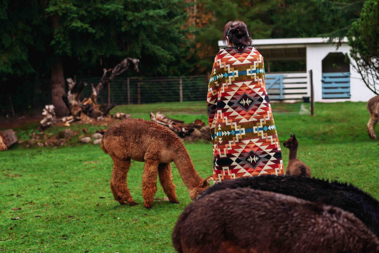 Nazca - Painted Sky - Alpaca Wool Blanket - Enchanted Farms