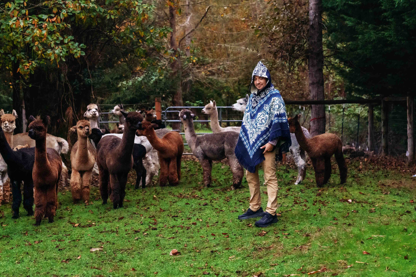 Paracas - Ocean - Alpaca Poncho with Native Pattern Triangular Design