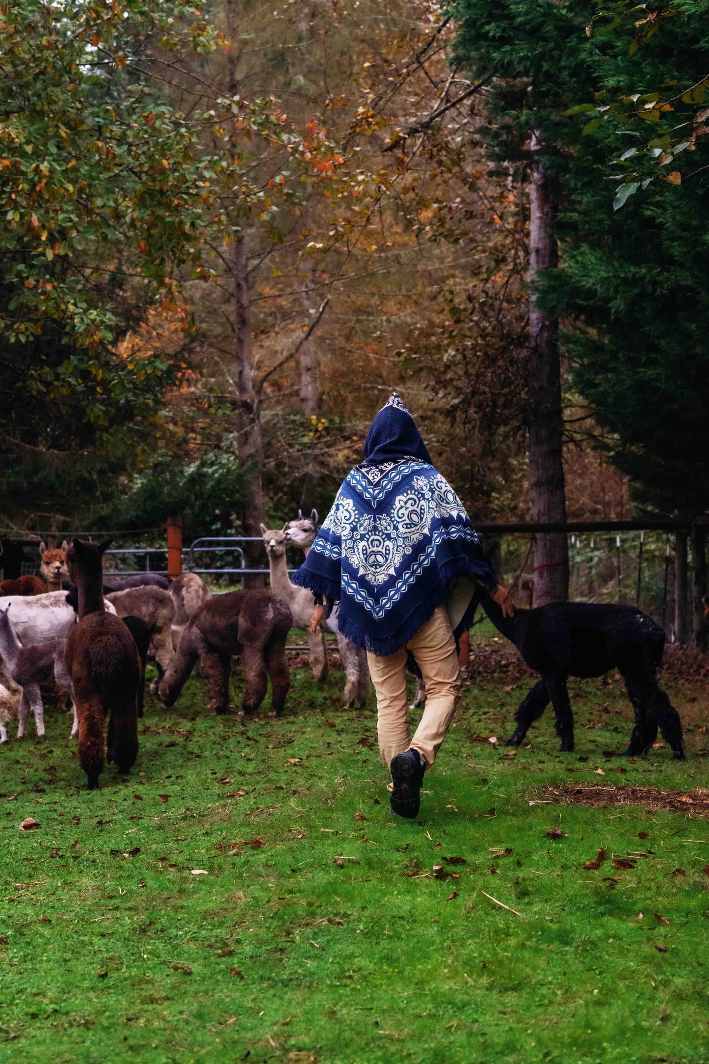 Paracas - Ocean - Alpaca Poncho with Native Pattern Triangular Design