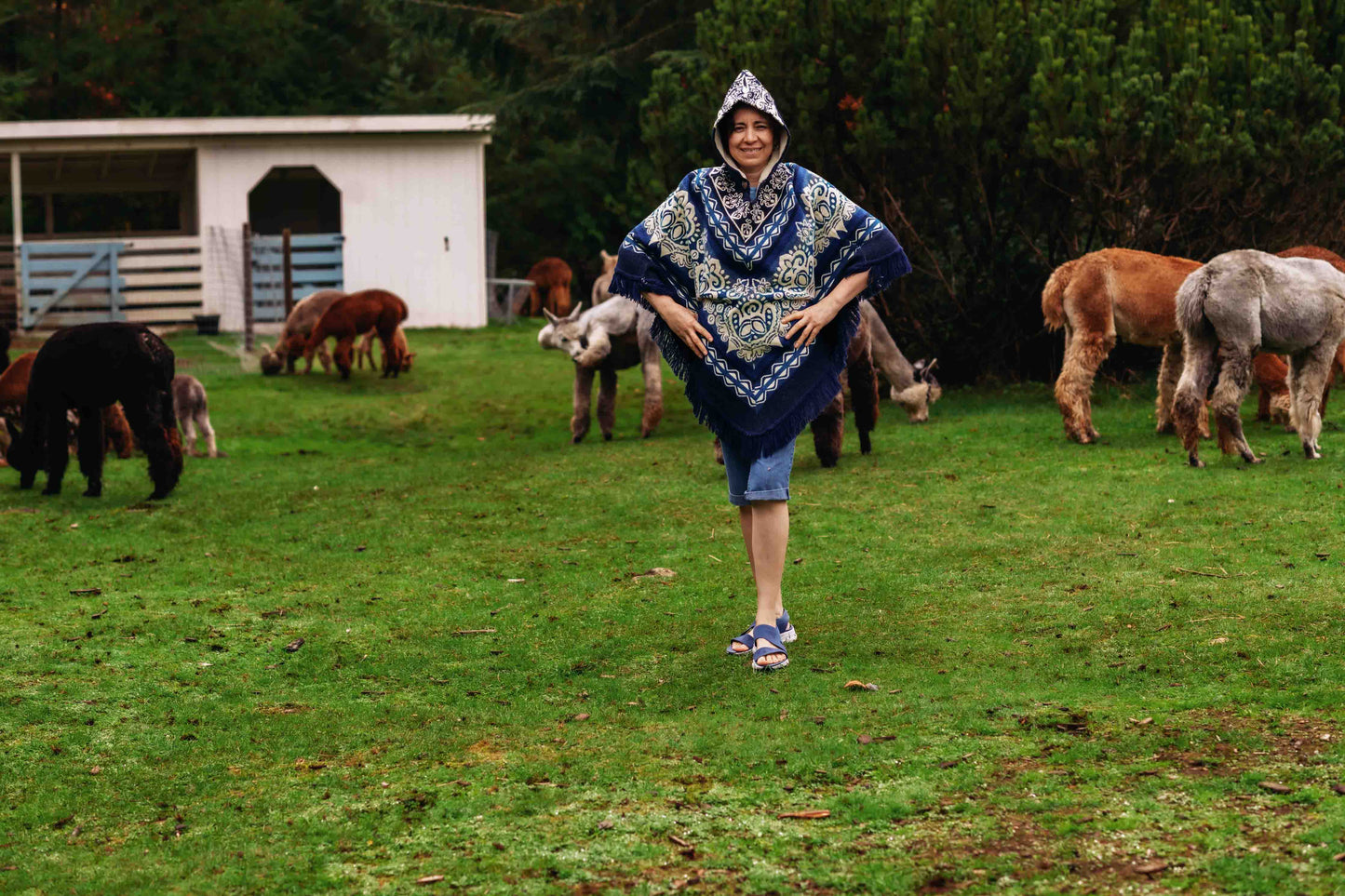 Paracas - Ocean - Alpaca Poncho with Native Pattern Triangular Design