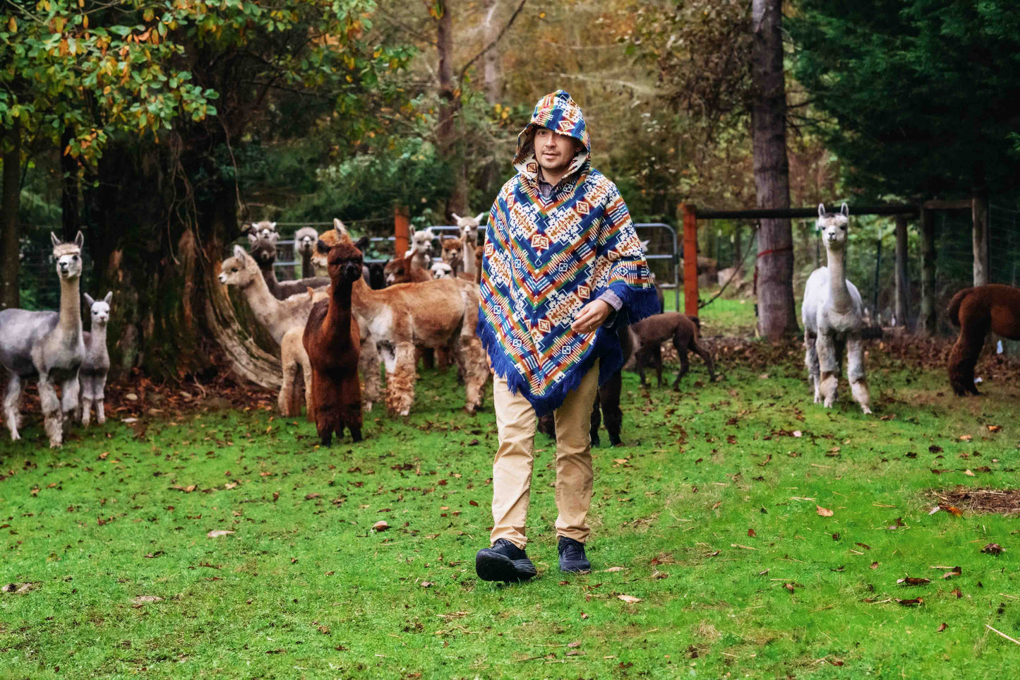 San Borja - Blue Rainbow - Alpaca Poncho with Native Pattern Triangular Design