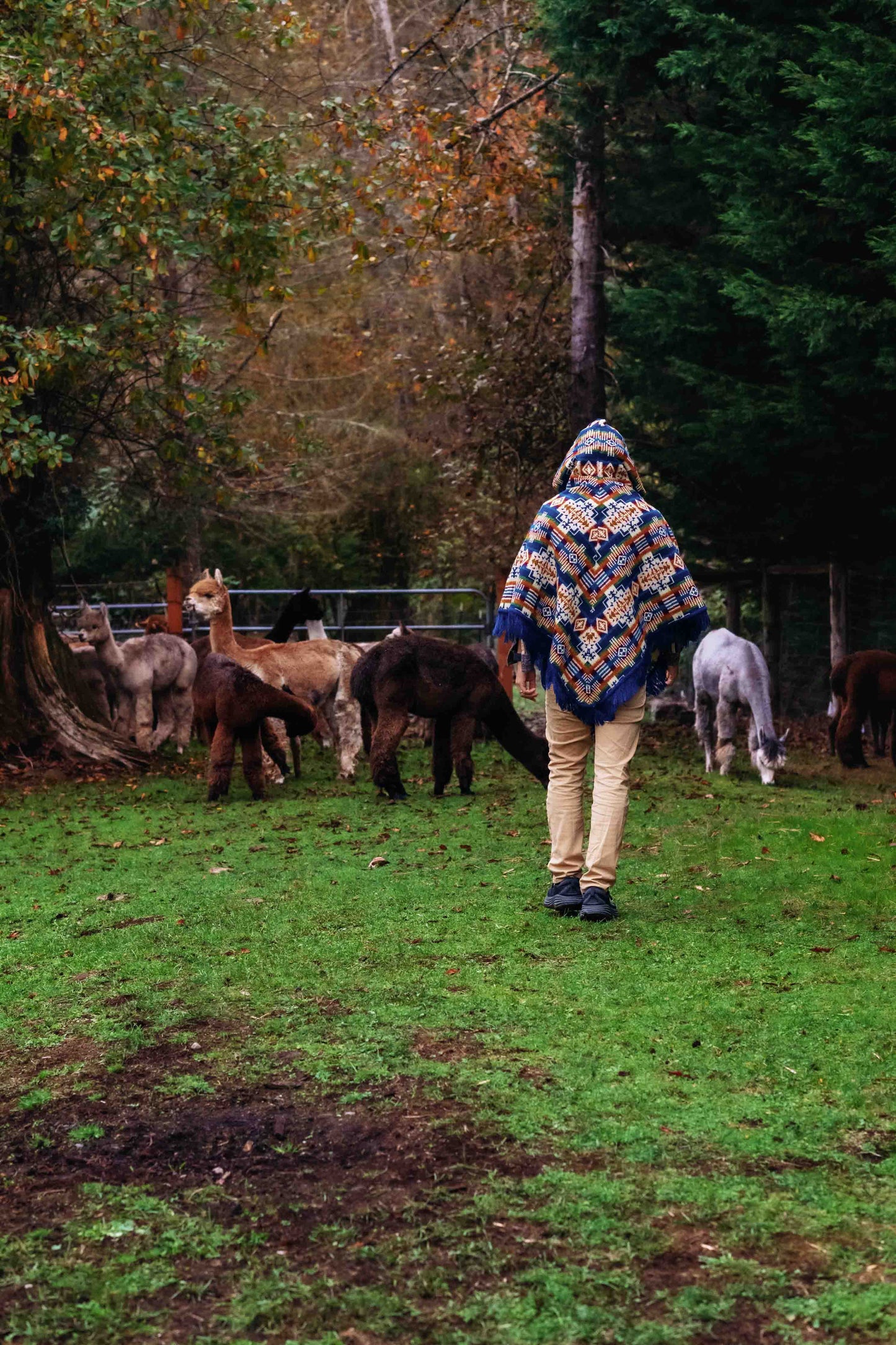 San Borja - Blue Rainbow - Alpaca Poncho with Native Pattern Triangular Design