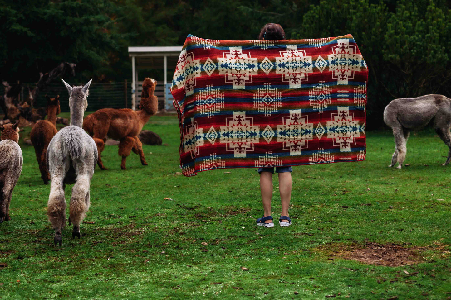 San Borja - Rojo - Alpaca Wool Blanket - Enchanted Farms