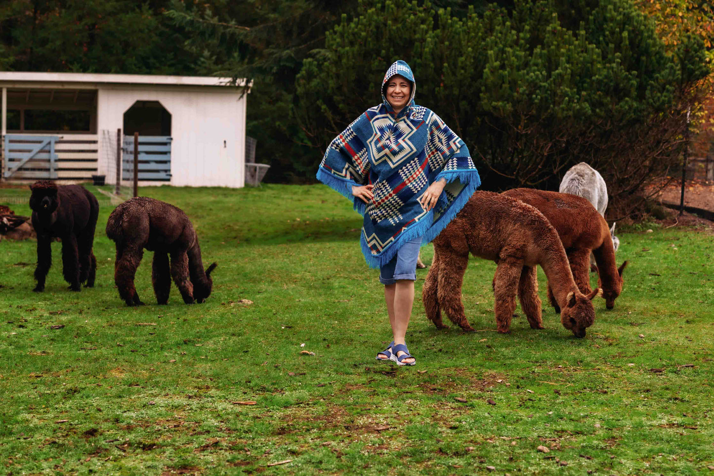 San Borjas - Azul - Alpaca Poncho with Native Pattern Triangular Design