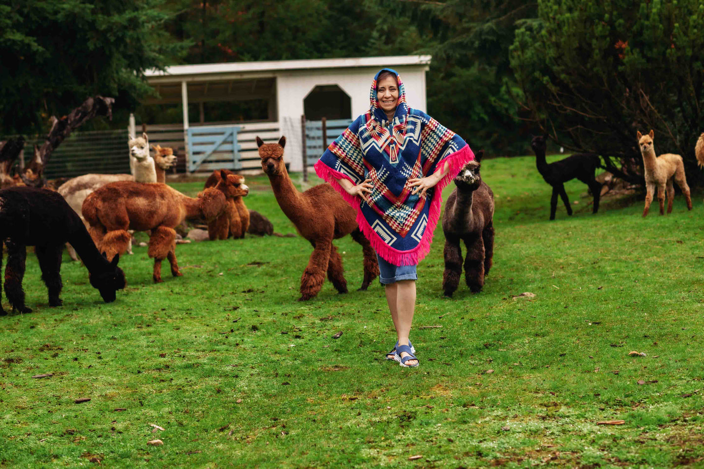 San Borjas - Pink - Alpaca Poncho with Native Pattern Triangular Design