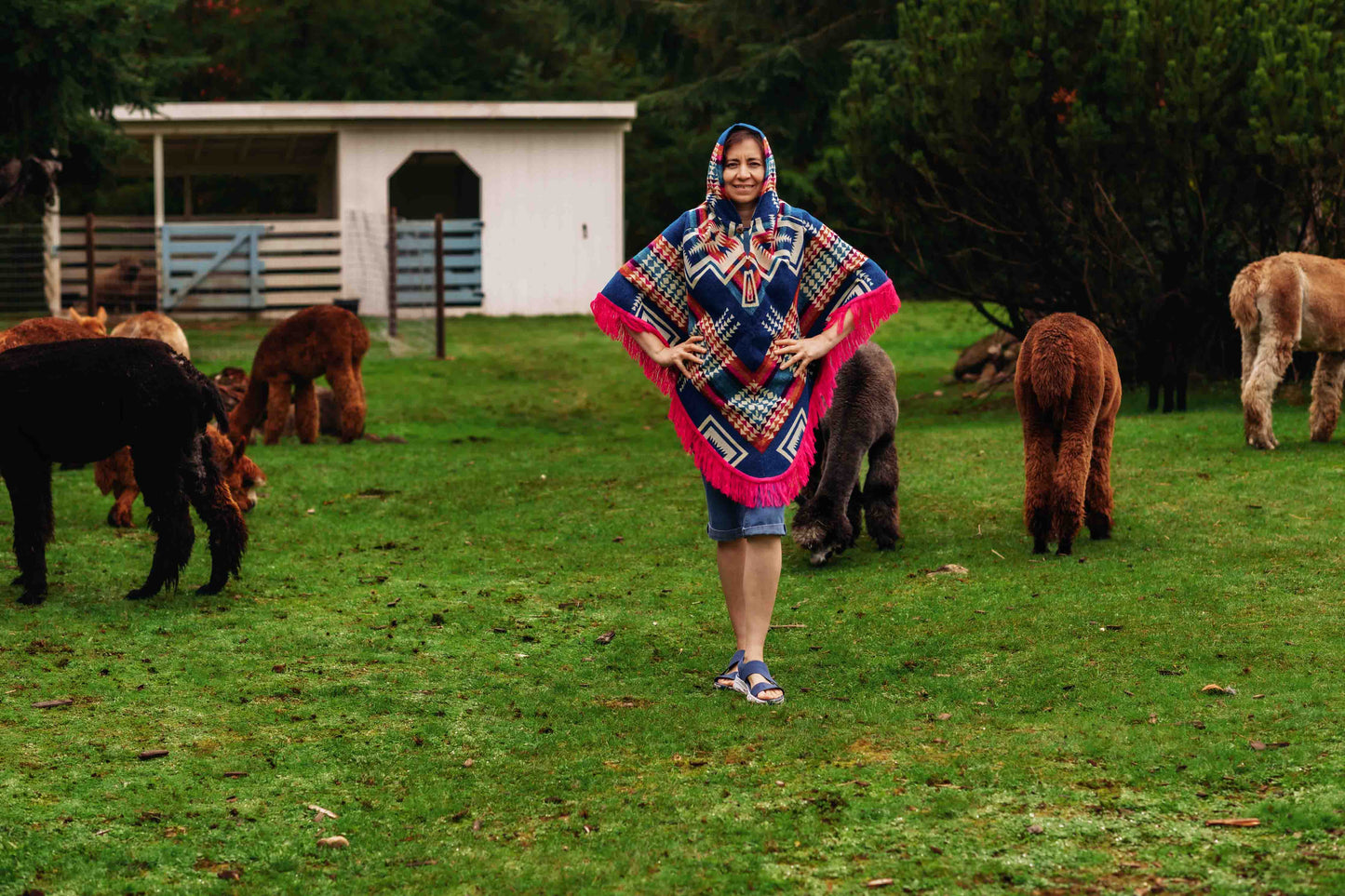 San Borjas - Pink - Alpaca Poncho with Native Pattern Triangular Design