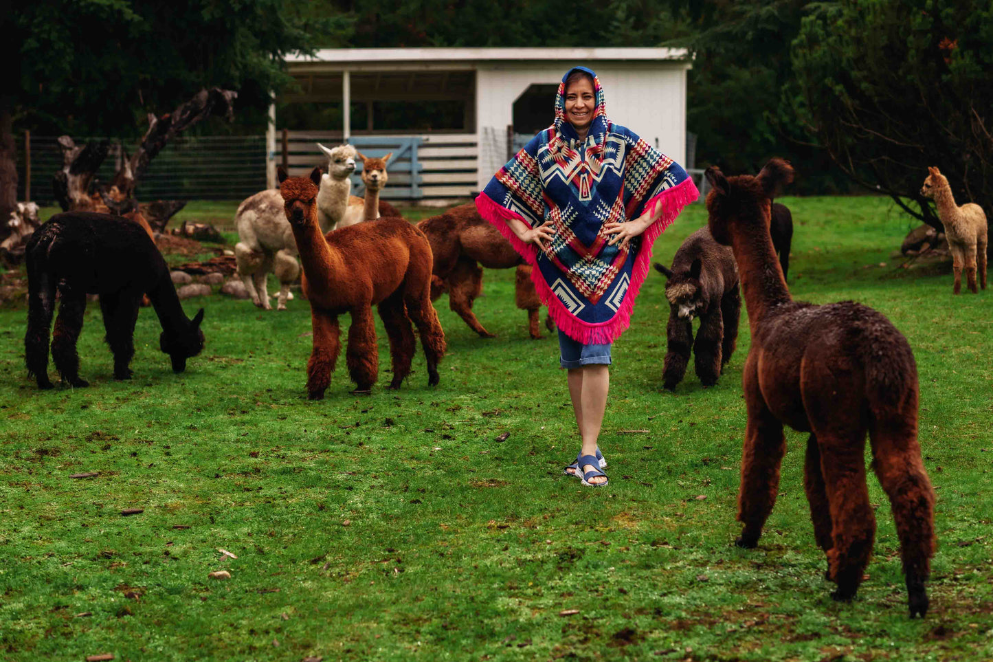 San Borjas - Pink - Alpaca Poncho with Native Pattern Triangular Design