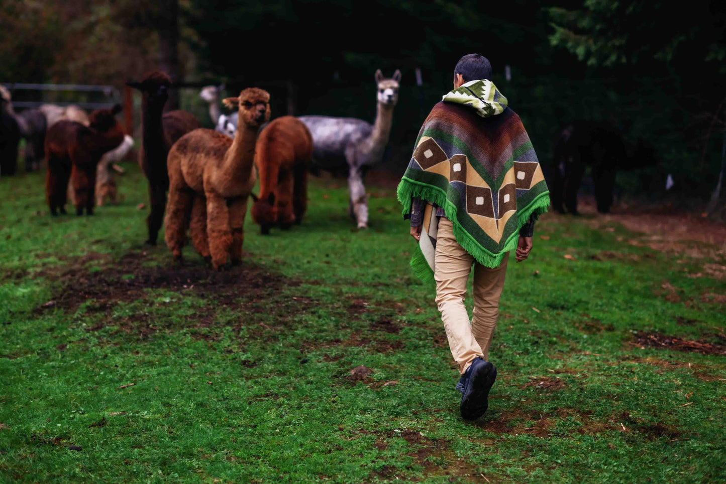 San Isidro - Oasis - Alpaca Poncho with Native Pattern Triangular Design