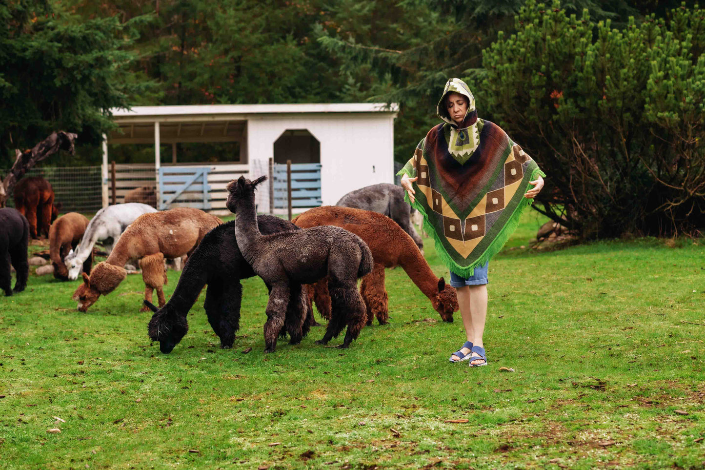 San Isidro - Oasis - Alpaca Poncho with Native Pattern Triangular Design