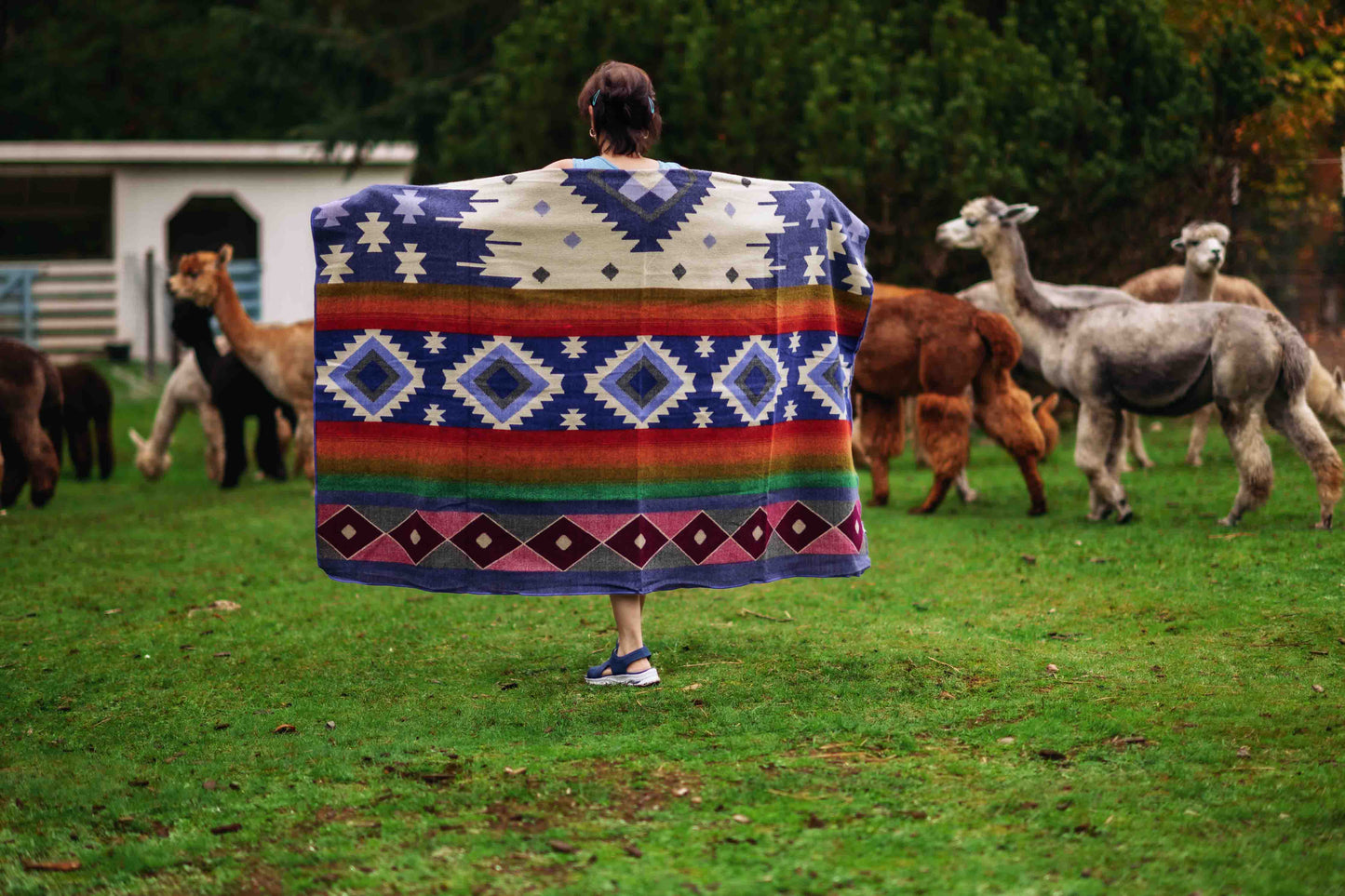 San Isidro - Rainbow - Alpaca Wool Blanket - Enchanted Farms