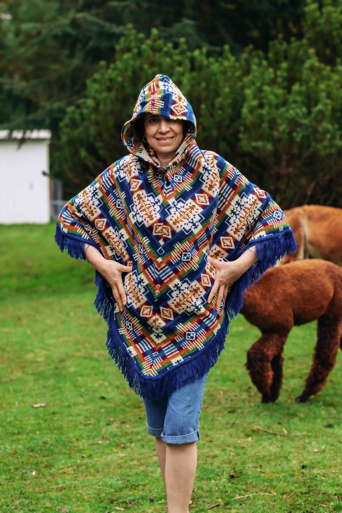 San Borja - Blue Rainbow - Alpaca Poncho with Native Pattern Triangular Design