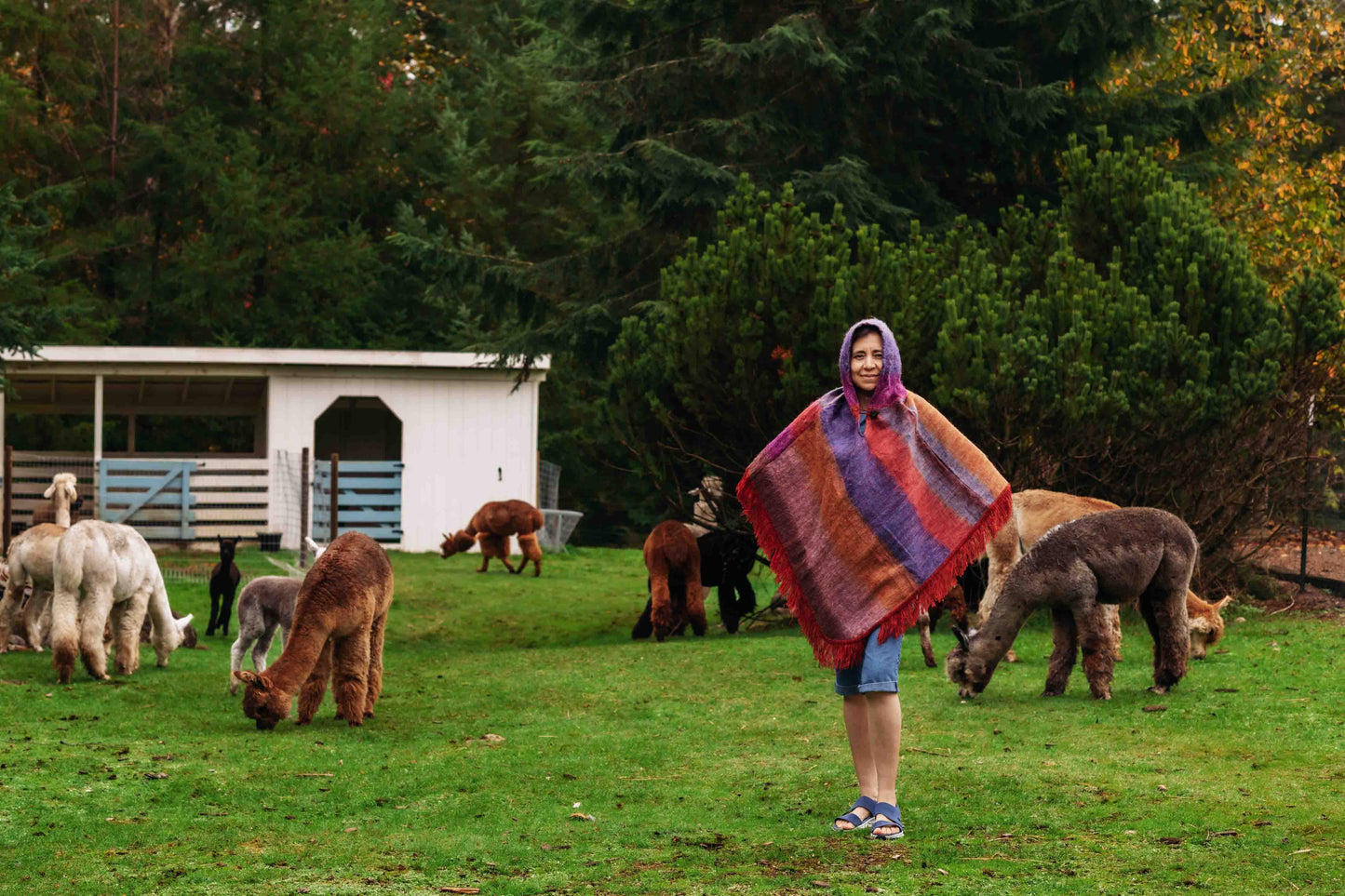 Sunrise Felted Alpaca Poncho with Native Pattern Triangular Design