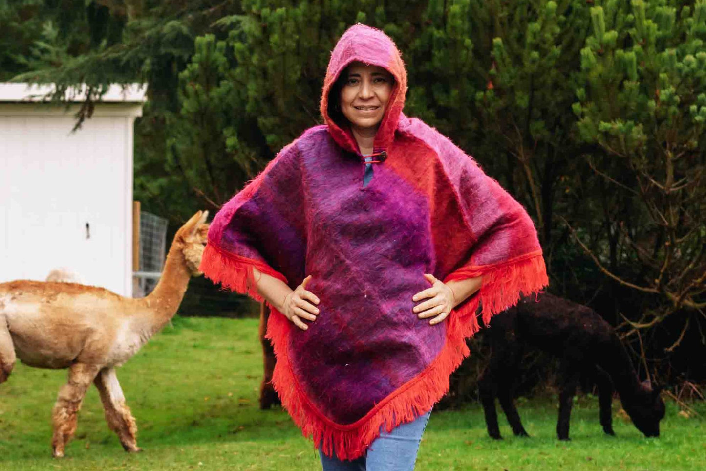 Sunset Felted Alpaca Poncho with Native Pattern Triangular Design