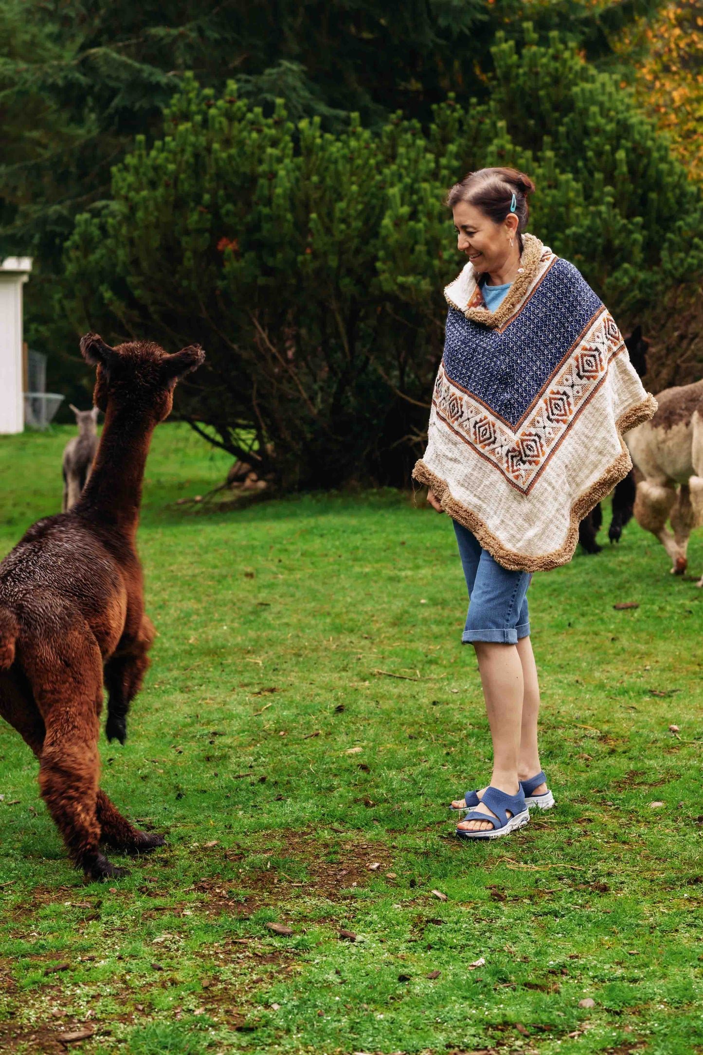 The Inca King - Natural - Alpaca Ruana Poncho with Native Pattern Triangular Design