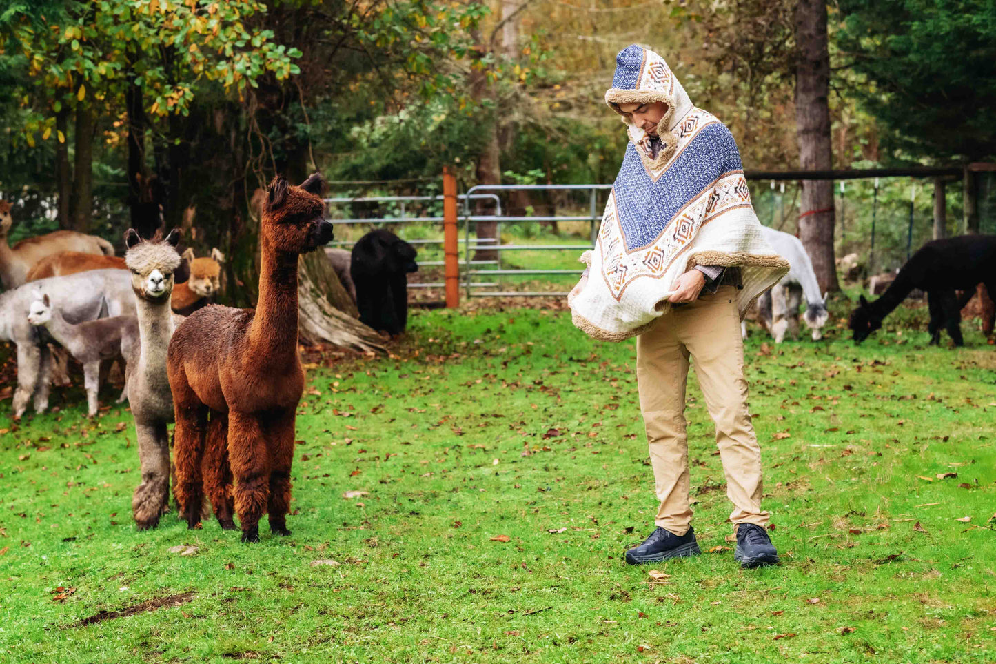 The Inca King - Natural - Alpaca Ruana Poncho with Native Pattern Triangular Design