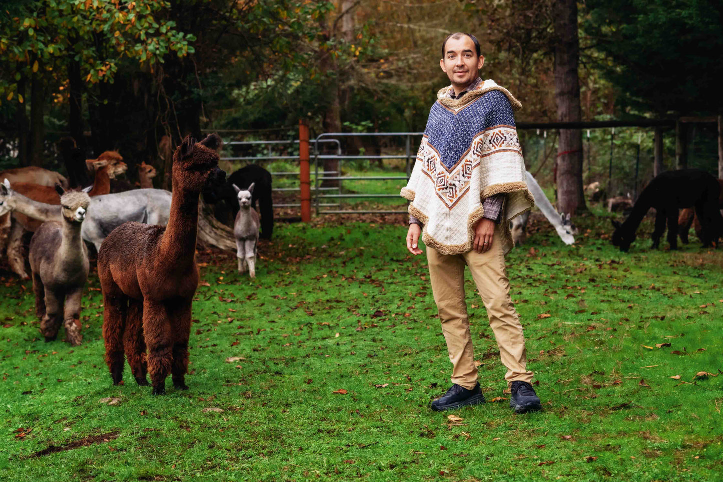 The Inca King - Natural - Alpaca Ruana Poncho with Native Pattern Triangular Design