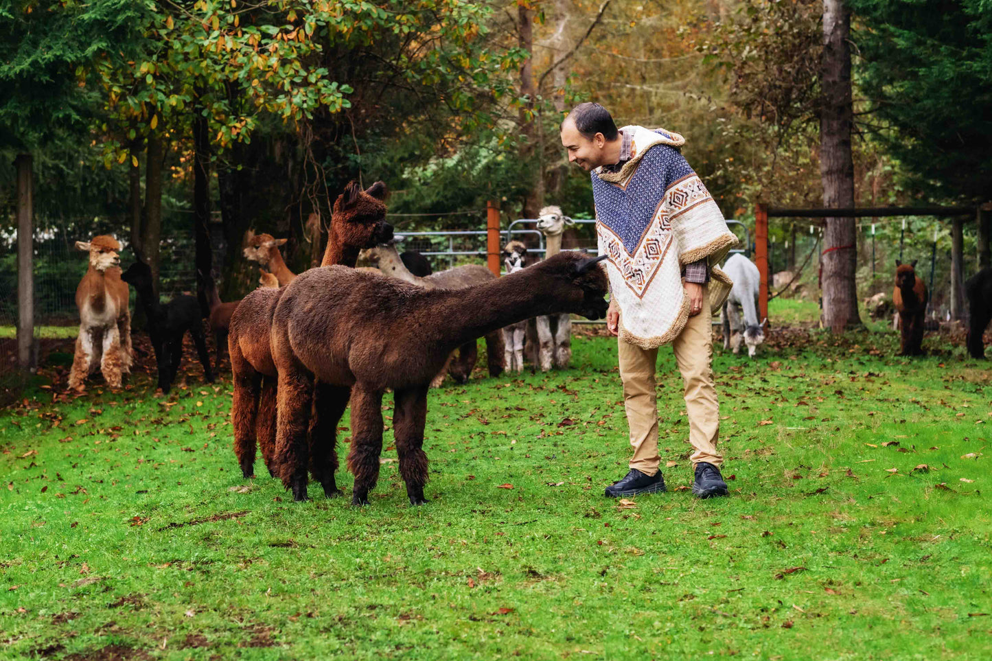 The Inca King - Natural - Alpaca Ruana Poncho with Native Pattern Triangular Design