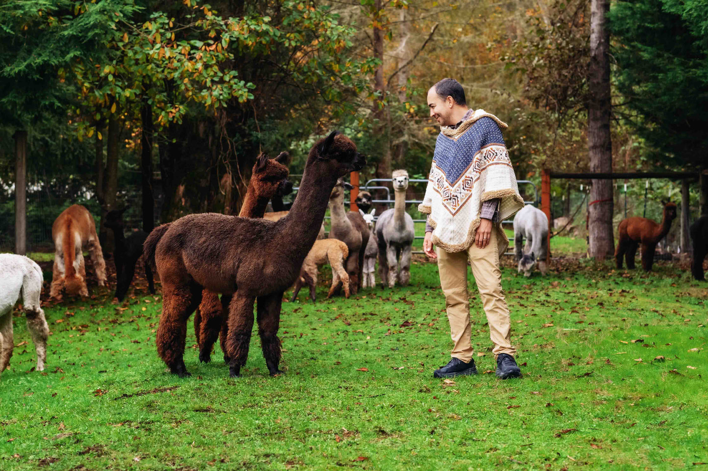 The Inca King - Natural - Alpaca Ruana Poncho with Native Pattern Triangular Design