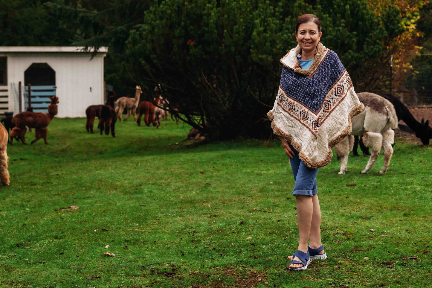 The Inca King - Natural - Alpaca Ruana Poncho with Native Pattern Triangular Design