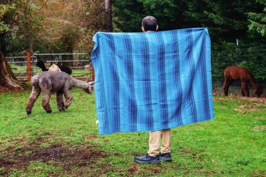 Lake Throw - Striped - Brushed Alpaca Blanket