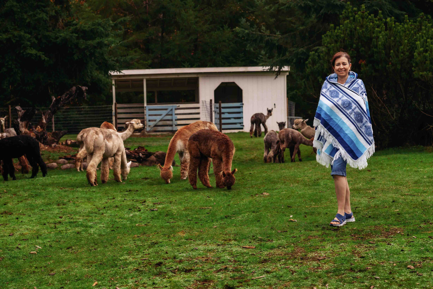 Misti - Sky - Alpaca Shawl Poncho