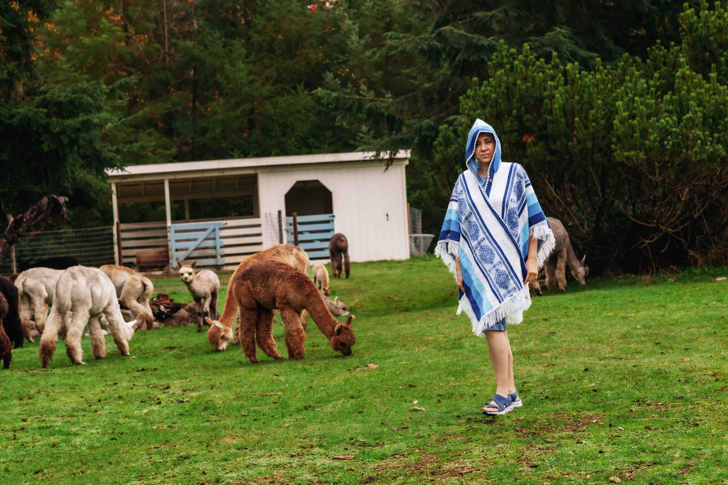 Misti - Sky - Alpaca Shawl Poncho