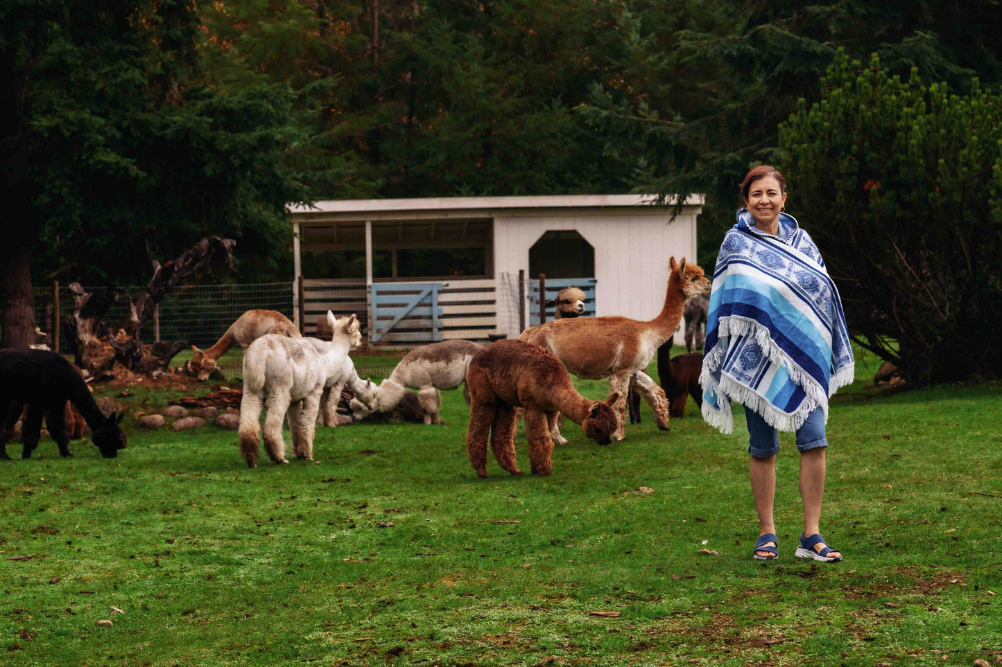 Misti - Sky - Alpaca Shawl Poncho