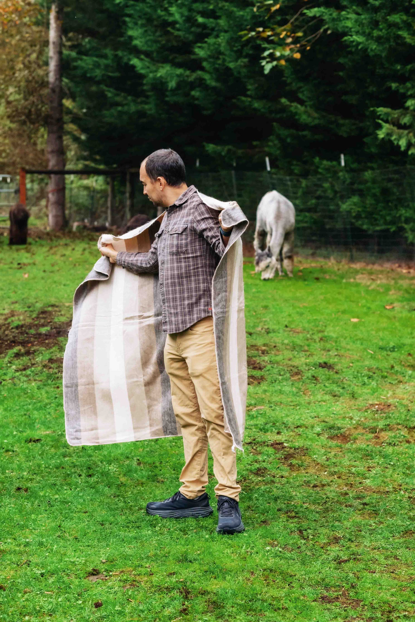 Boho Throw - Striped - Brushed Alpaca Blanket